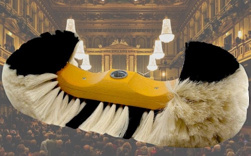 Vienna wall broom goat - vienna, hair
