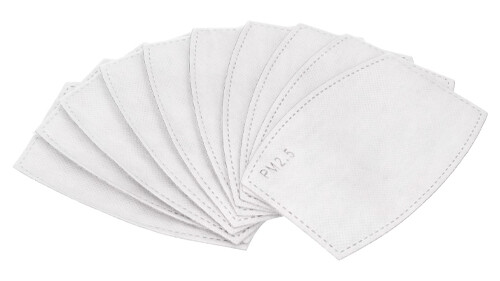 10pcs pm2 filter activated - 10pcs,