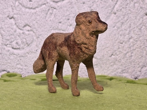 Ancient dog cloth - ancient,